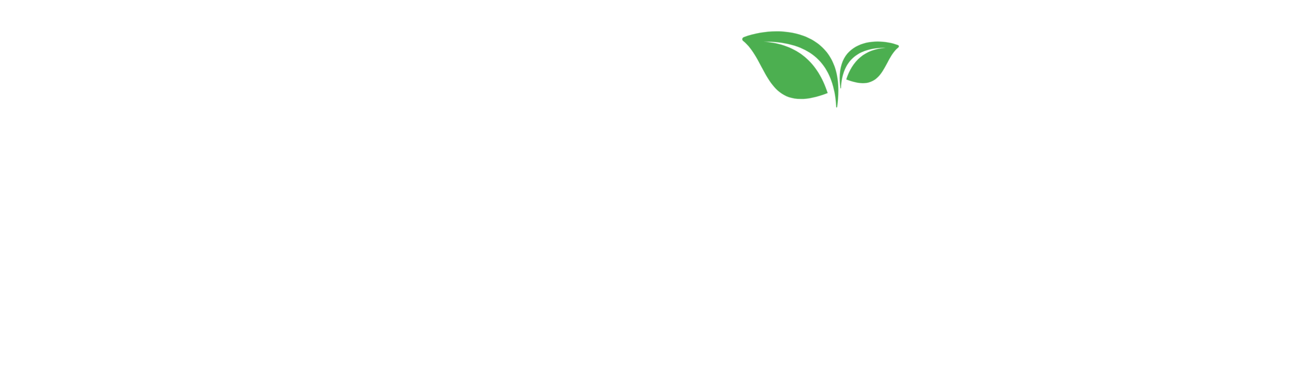 Solargen | Soluciones de energía solar eficientes